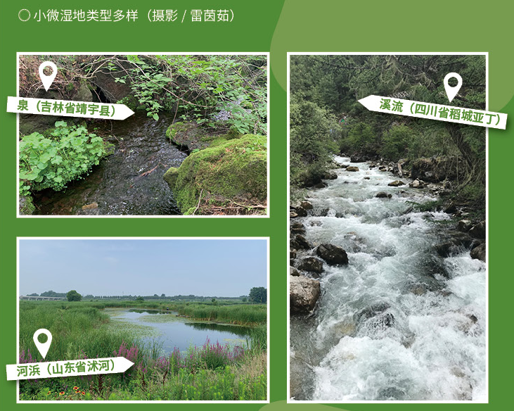 每日科普|小湿地 大潜能 - 惠州科协